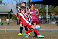 Bellbird JFC 09/02 v Singleton Strikers 09/01