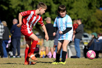 Bellbird JFC 09/01 v Cessnock United  09/01