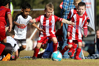 Bellbird JFC 06/03 v Maitland JFC 06/06