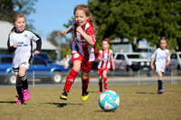 Bellbird JFC 06G/02 v Maitland JFC 06G/02