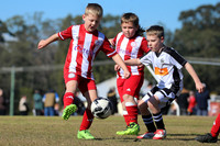 Bellbird JFC 07/03 v Maitland JFC 07/07