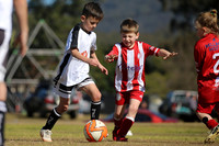 Bellbird JFC 07/04 v Maitland JFC 07/09