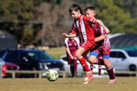 Bellbird JFC 11/03 v Singleton Strikers 11/01
