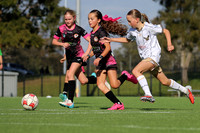 Adamstown Rosebud v New Lambton