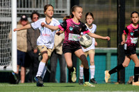 Adamstown Rosebud v New Lambton