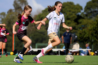 C-003