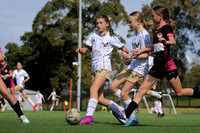 Adamstown Rosebud v New Lambton