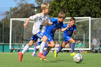 Newcastle Olympic White v Northern Inland Rangers