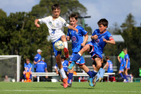 Newcastle Olympic White v Northern Inland Rangers