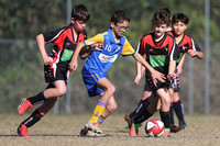 2026 Semi Finals Week 1
