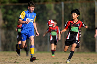 A-017
