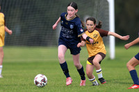 New Lambton FC 12G/01 v Lambton Jaffas JFC 12G/01