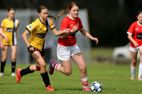 Nelson Bay 13G/01 v Merewether United 13G/01