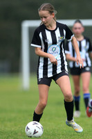 L-010