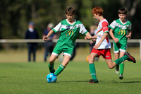 2026 Semi Finals Week 2