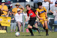 Greta Branxton 13/03 v Thornton JFC 13/01