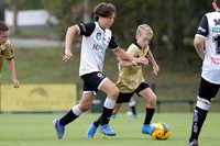 12 Boys - Maitland White v Central Coast White