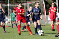 10 Girls - Broadmeadow Magic v New Lambton