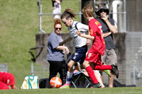 12 Boys - Broadmeadow Magic Yellow v Lake Macquarie City White
