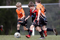 Edgeworth JSC 09/01 v Southern Lakes United 09/01