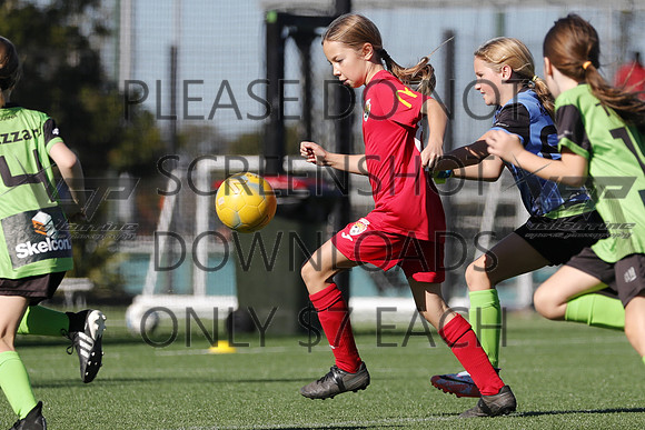 C-005