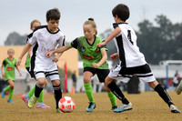 Miniroos U10s - Maitland JFC 10/01 v Adamstown Rosebud JFC JDL