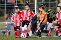 MiniRoos 6 Girls -  South Cardiff CFC v Valentine FC