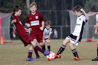 Miniroos U10s - Maitland JFC 10/03 v Singleton Strikers  10/01
