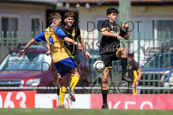 C-019