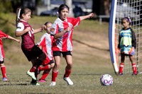 MiniRoos 8 Girls -  South Cardiff CFC v Warners Bay