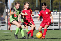 10 Girls - Broadmeadow Magic v Adamstown Rosebud
