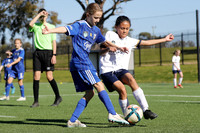 10 Girls - Newcastle Olympic v New Lambton