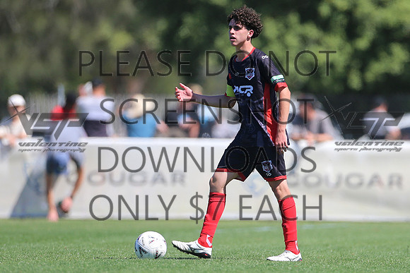 C-119