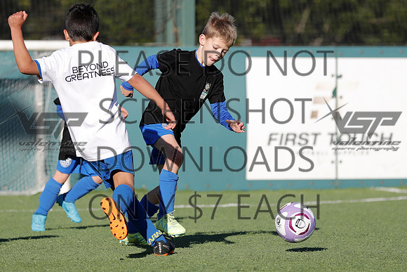 C-019