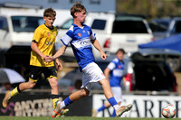 GF-Cessnock City v West Wallsend