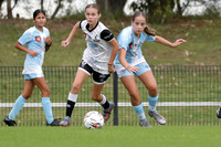 Maitland FC v Mid Coast FC