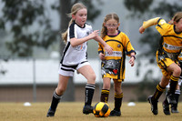 Miniroos U8 Girls - Maitland JFC 08/01  v Greta Branxton 08/02
