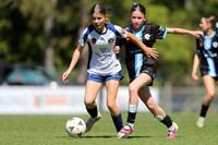 SF - Mid Coast FC v Lake Macquarie City