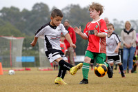 Miniroos U7s - Maitland JFC 07/10 v Clarence Town 07/01