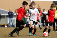 Miniroos U10s - Maitland JFC 10/06 v Thornton JFC 10/03
