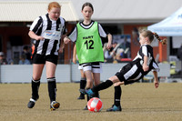 Miniroos U11 Girls - Maitland JFC 11/01  v Weston JFC 11/01