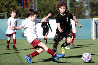 U7 Boys/Mixed - Warners Bay v Edgeworth JSC