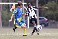 Interdistrict 13s - Metford Cobras v Weston JFC