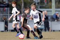 Miniroos U11s - Maitland JFC 11/04  v Bolwarra Lorn 11/02