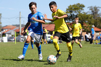 12 Boys - Lambton Jaffas Yellow v Charlestown Azzurri White