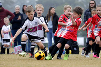 Miniroos U6s-Maitland JFC 06/01 v Abermain 06/03