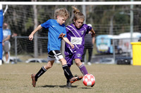 Miniroos U11s - Maitland JFC 11/03  v Lochinvar Rovers  11/01
