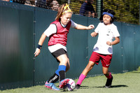 U8 Girls - Cooks Hill United v Warners Bay