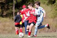 MiniRoos 11s -  South Cardiff CFC 11/03 v Swansea FC 11/01