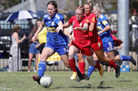 Major Semi - Newcastle Olympic v Broadmeadow Magic